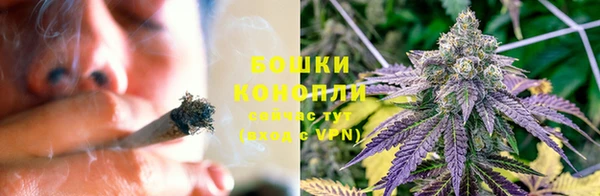 шишки Заводоуковск