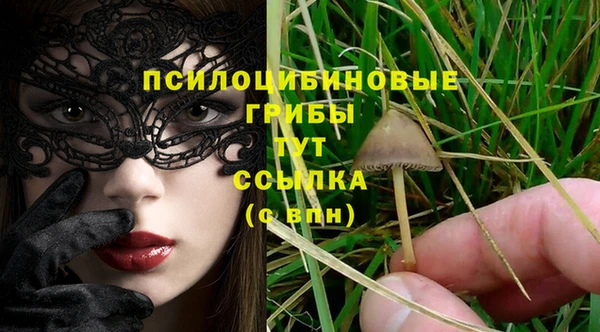 тгк Зеленокумск