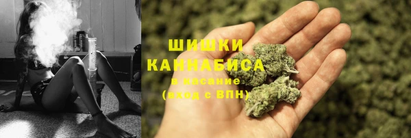 шишки Заводоуковск