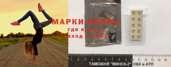 шишки Заводоуковск