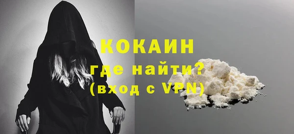шишки Заводоуковск