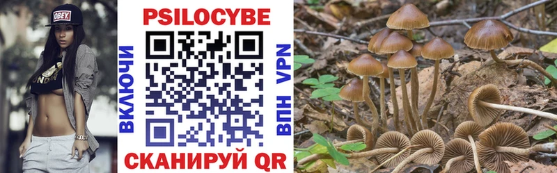 Галлюциногенные грибы Cubensis  где купить наркоту  Невьянск 